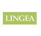 lingea